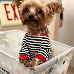 Meet your Posher, Sheila